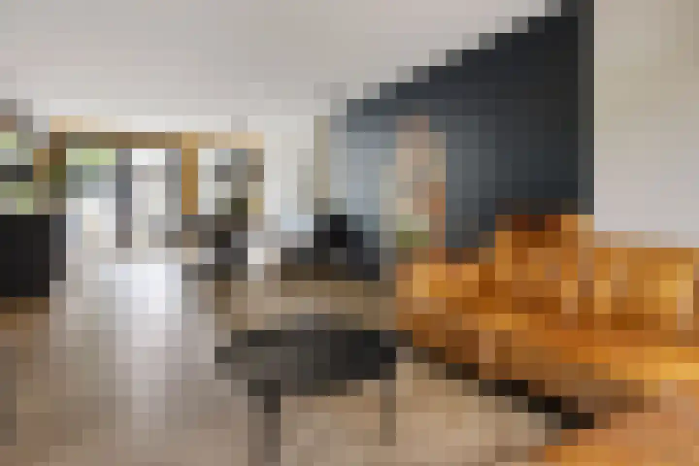 de Sont 26 Emmeloord thumbnail 16