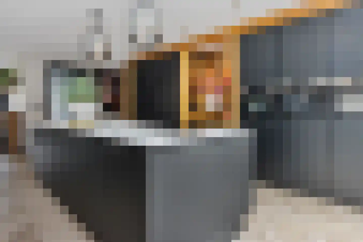 de Sont 26 Emmeloord thumbnail 20