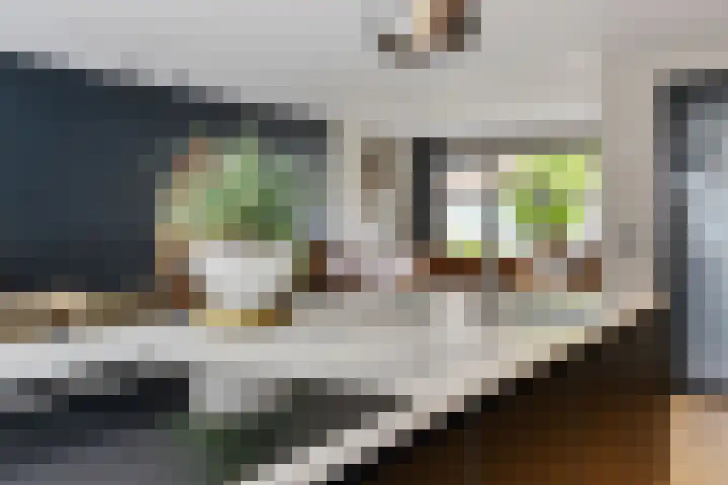 de Sont 26 Emmeloord thumbnail 21