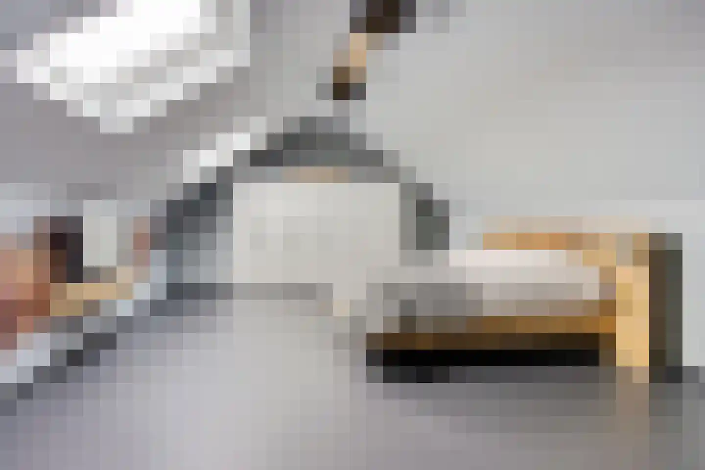 de Sont 26 Emmeloord thumbnail 28