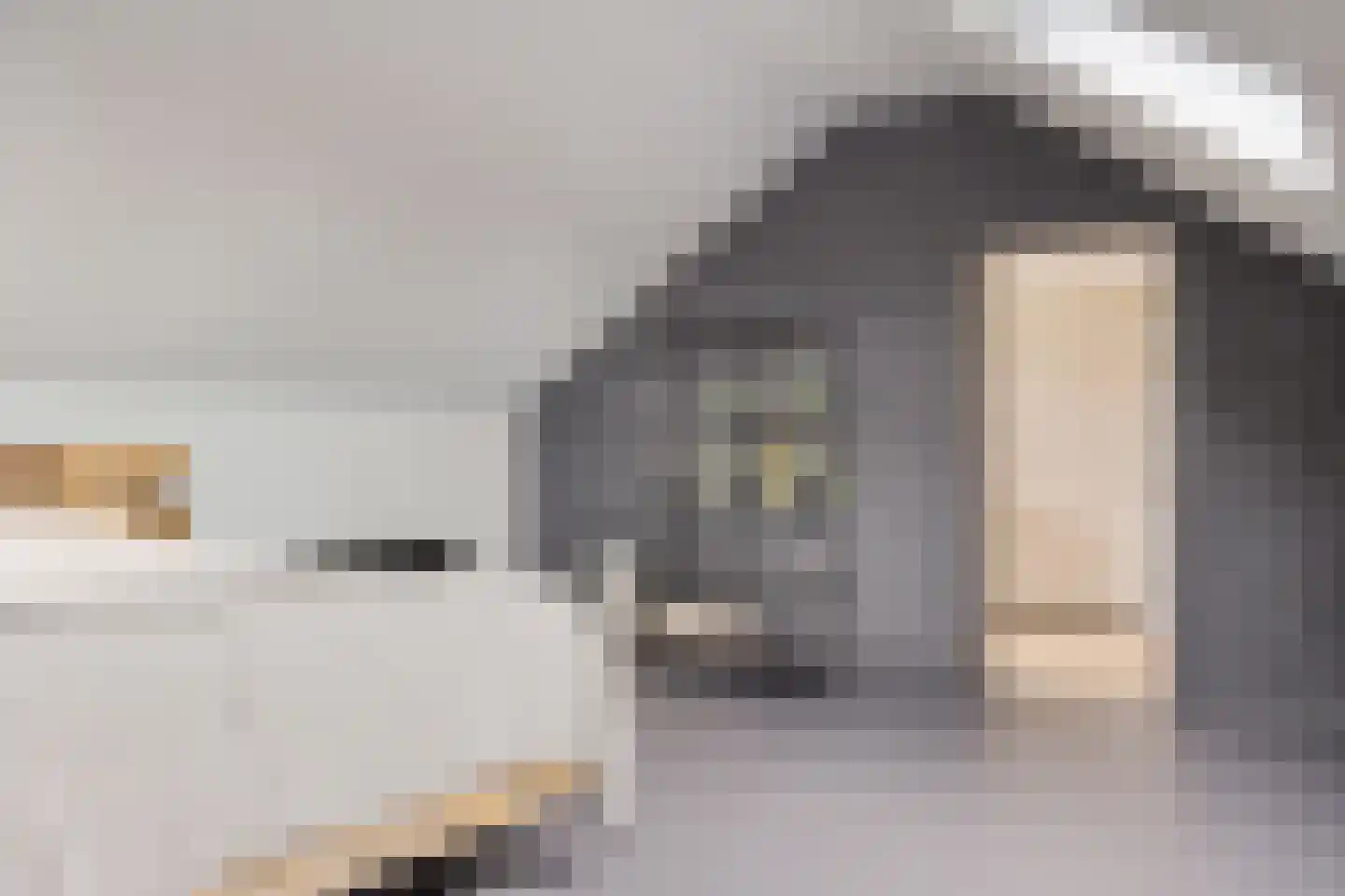 de Sont 26 Emmeloord thumbnail 29
