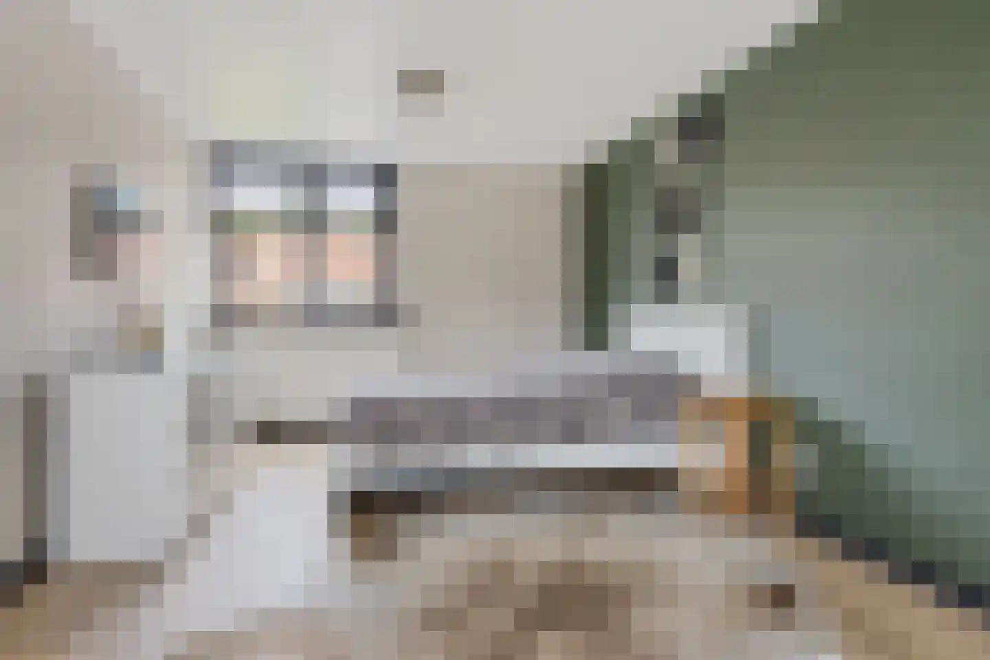 de Sont 26 Emmeloord thumbnail 34