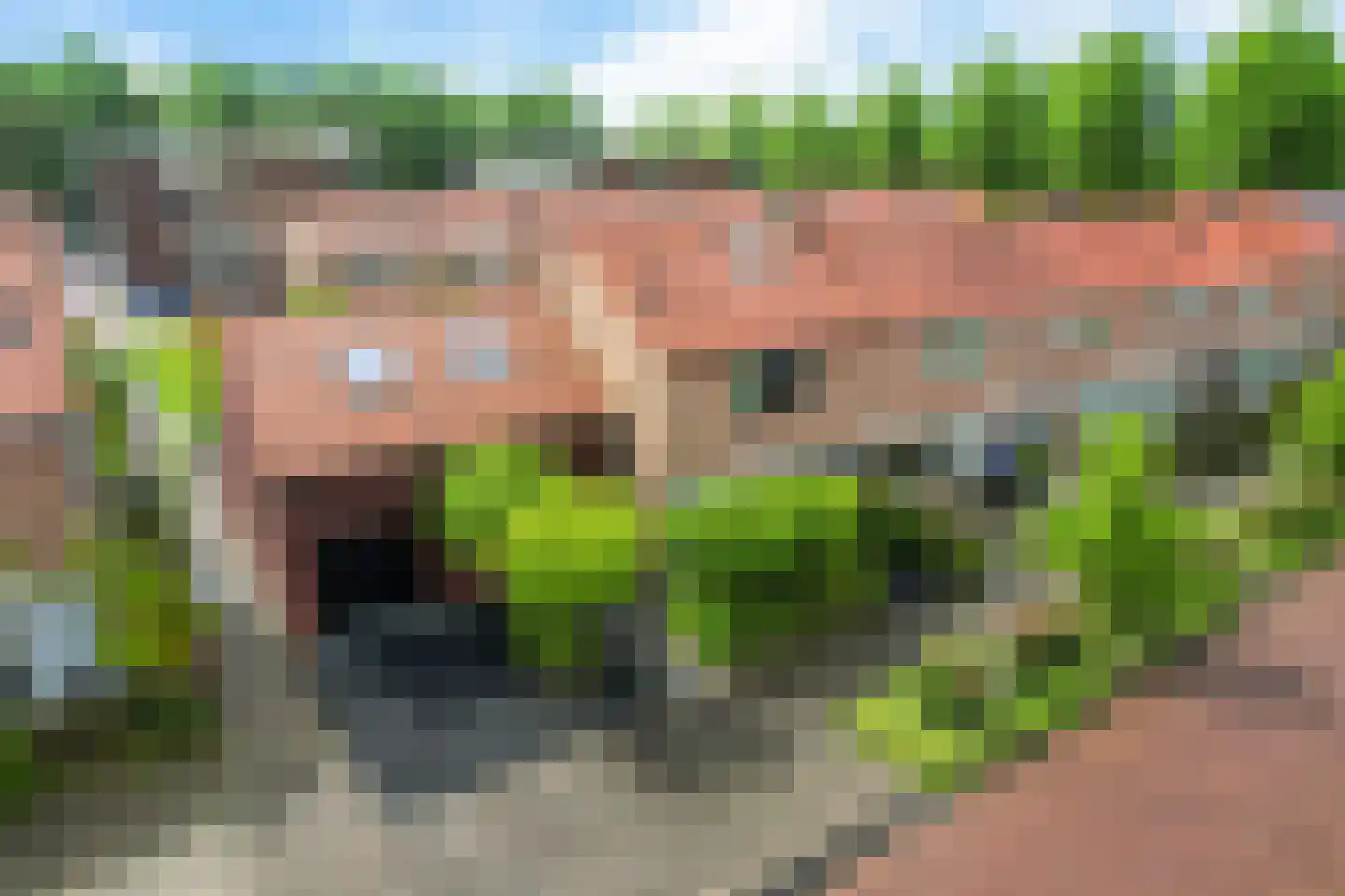 de Sont 26 Emmeloord thumbnail 5