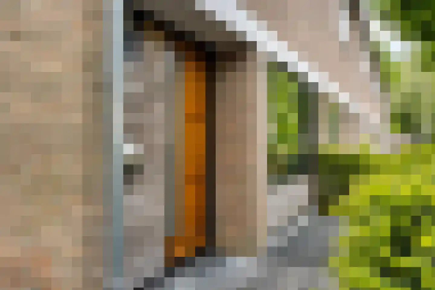 de Sont 26 Emmeloord thumbnail 8