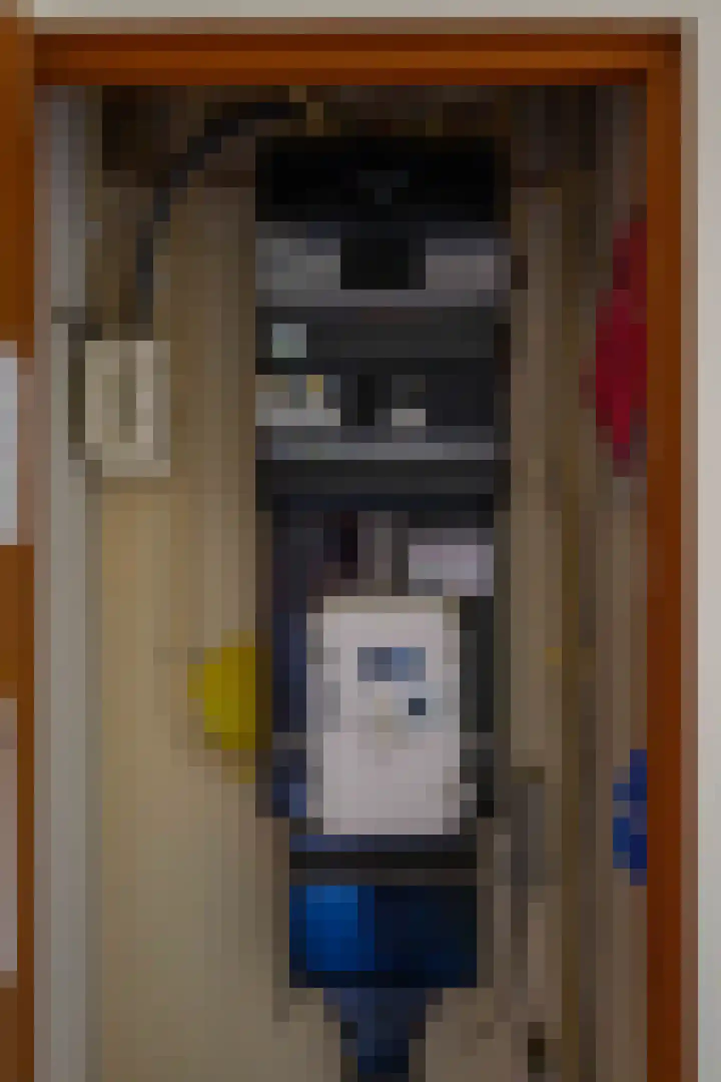 de Sont 30 Emmeloord foto 3
