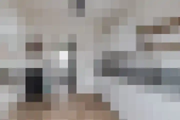 de Sont 34 Emmeloord thumbnail 14
