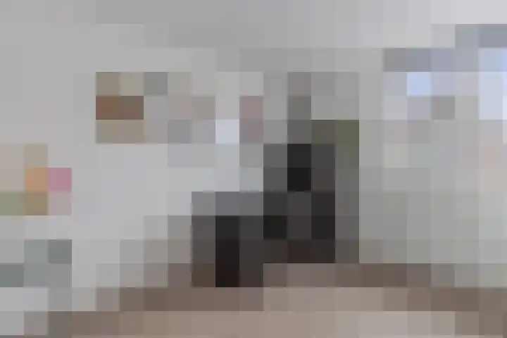 de Sont 34 Emmeloord thumbnail 18