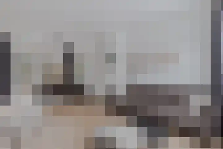 de Sont 34 Emmeloord foto 2