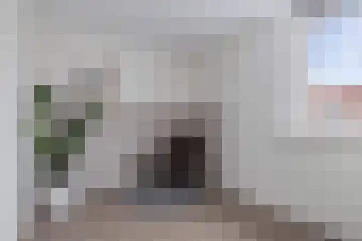 de Sont 34 Emmeloord thumbnail 20