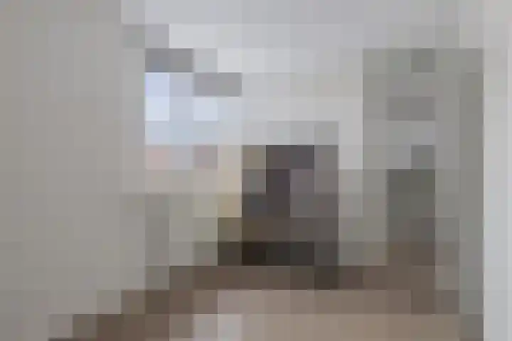 de Sont 34 Emmeloord thumbnail 21