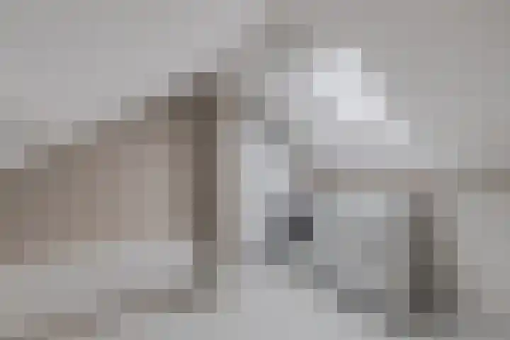 de Sont 34 Emmeloord thumbnail 26