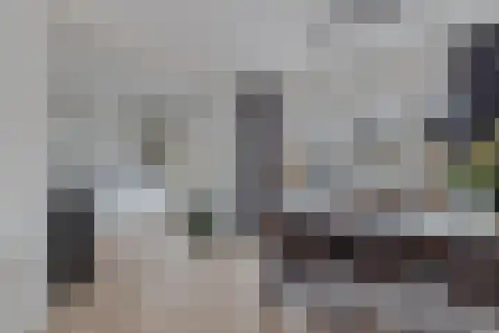 de Sont 34 Emmeloord foto 3