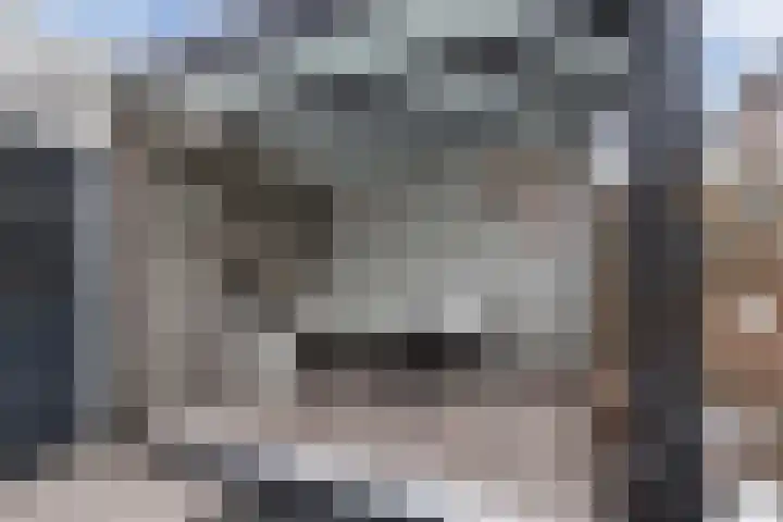de Sont 34 Emmeloord thumbnail 32