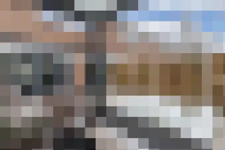 de Sont 34 Emmeloord thumbnail 33