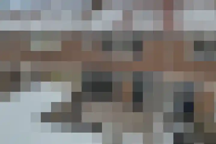 de Sont 34 Emmeloord thumbnail 34