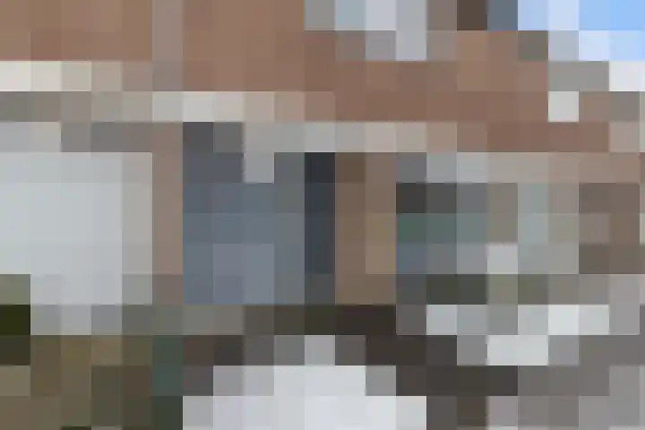 de Sont 34 Emmeloord thumbnail 35