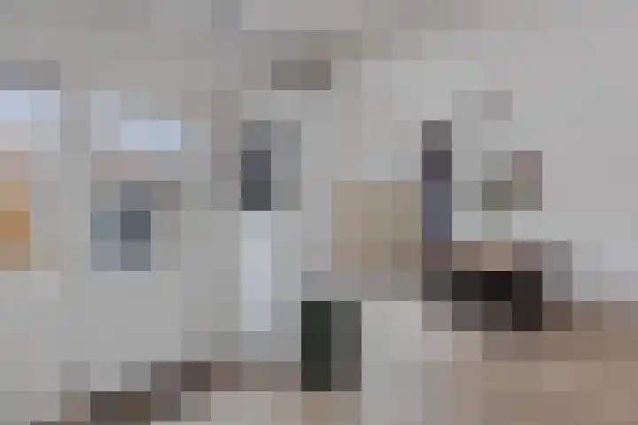 de Sont 34 Emmeloord thumbnail 7