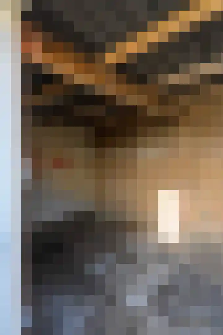 de Sont 36 Emmeloord thumbnail 16