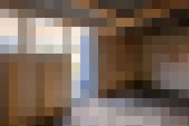 de Sont 36 Emmeloord thumbnail 18