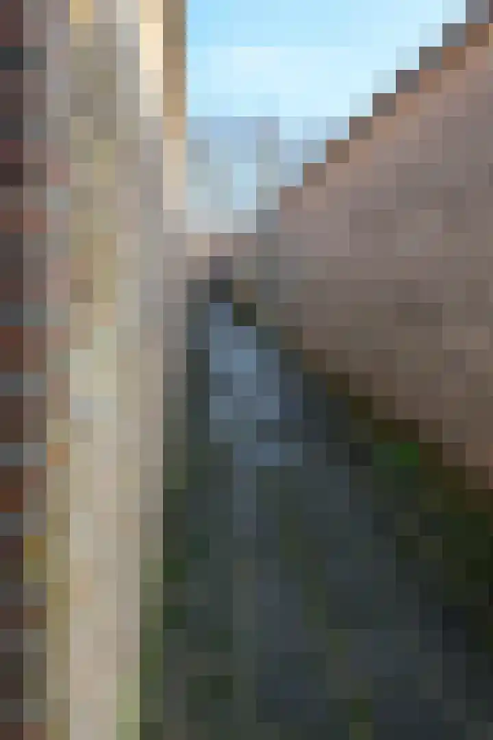 de Sont 36 Emmeloord thumbnail 20