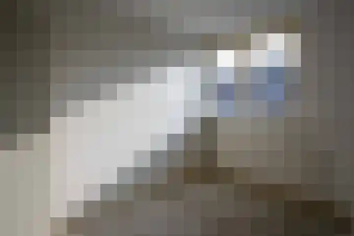 de Sont 36 Emmeloord thumbnail 23