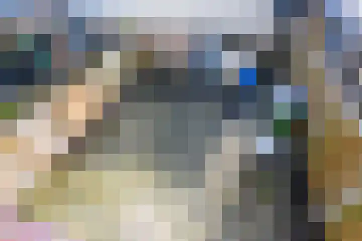 de Sont 36 Emmeloord thumbnail 24