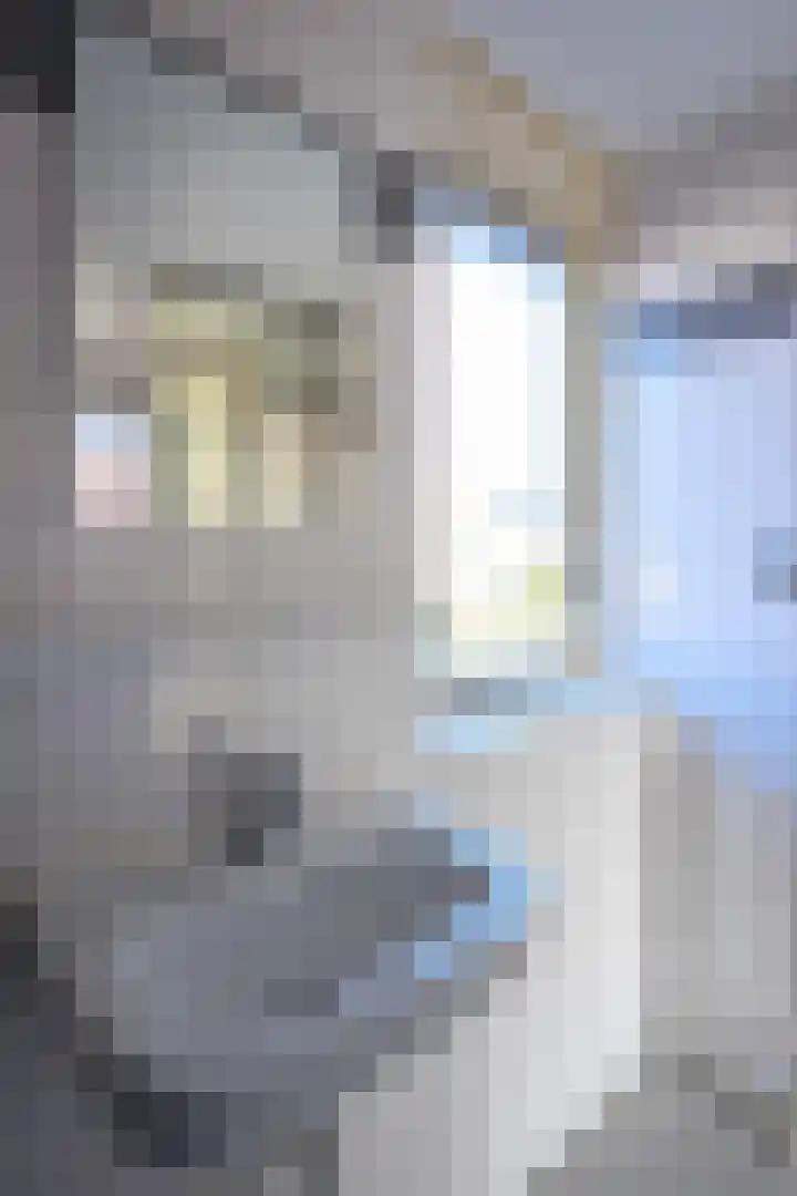 de Sont 36 Emmeloord thumbnail 36