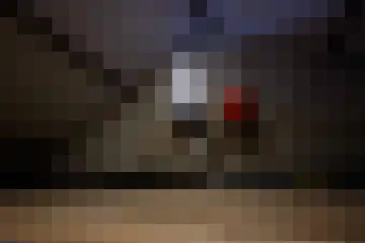 de Sont 36 Emmeloord thumbnail 38