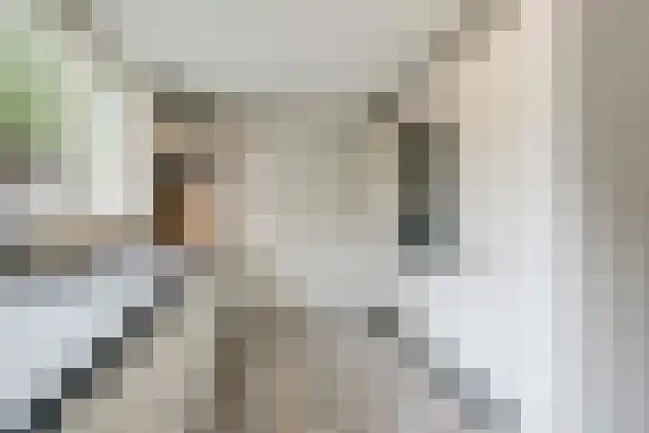 De Soom 14 Grubbenvorst thumbnail 13