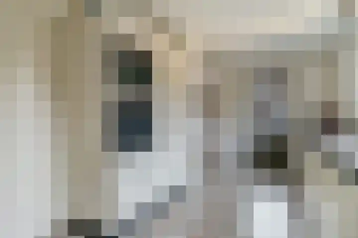 De Soom 14 Grubbenvorst thumbnail 14