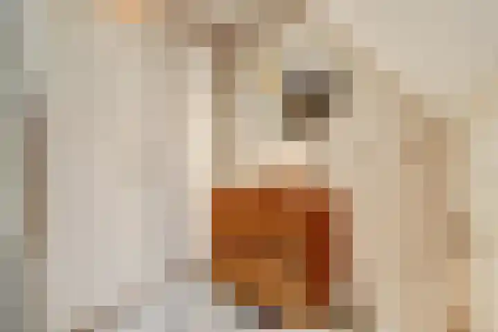 De Soom 14 Grubbenvorst thumbnail 22
