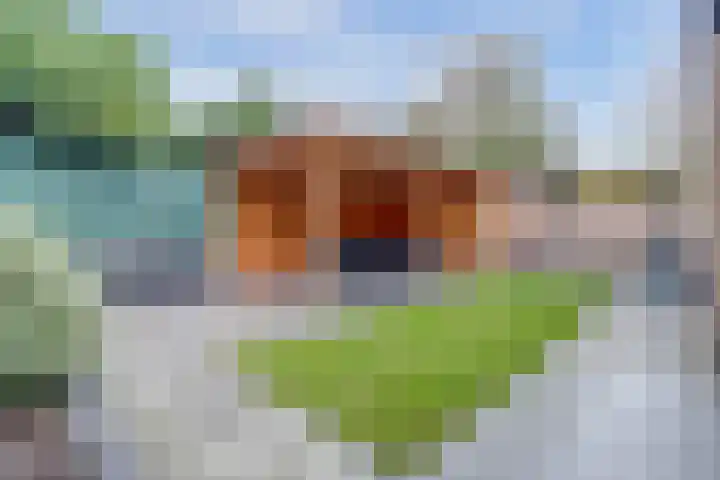 De Soom 14 Grubbenvorst thumbnail 26