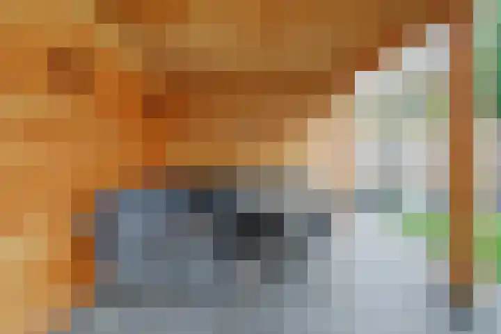 De Soom 14 Grubbenvorst thumbnail 27