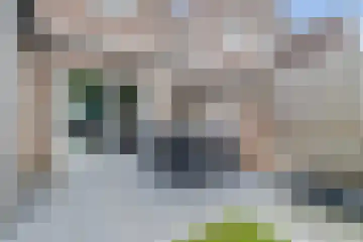 De Soom 14 Grubbenvorst thumbnail 28
