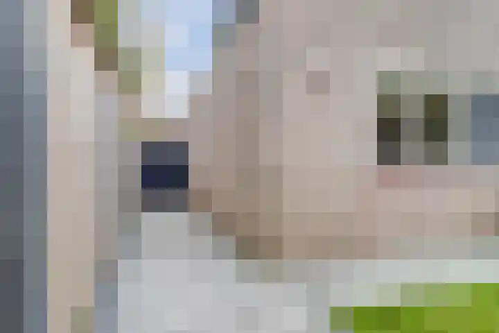 De Soom 14 Grubbenvorst thumbnail 29
