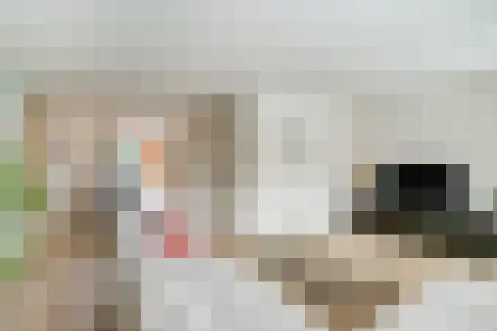 De Soom 14 Grubbenvorst thumbnail 4