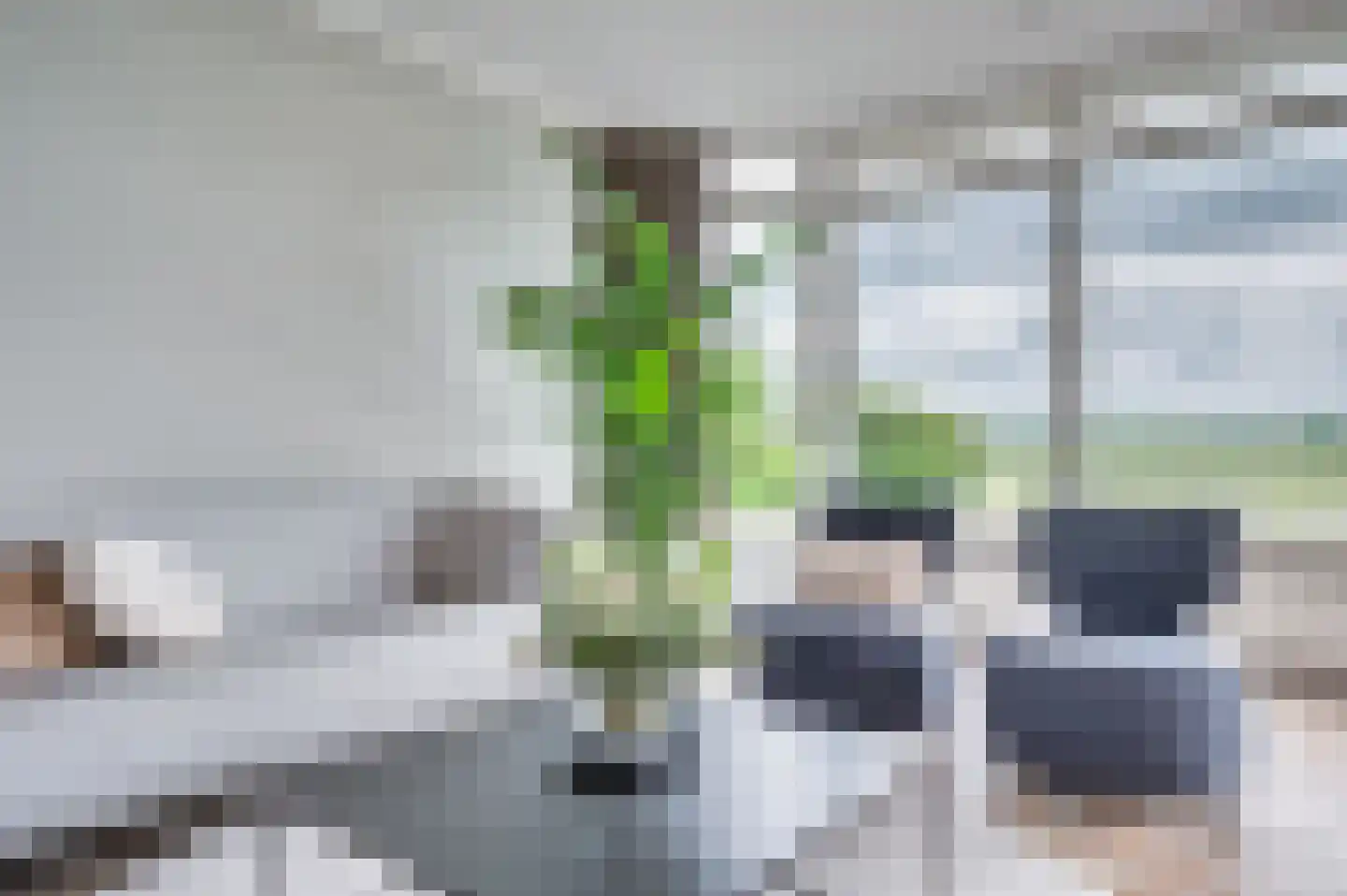 De Soom 17 Grubbenvorst thumbnail 11