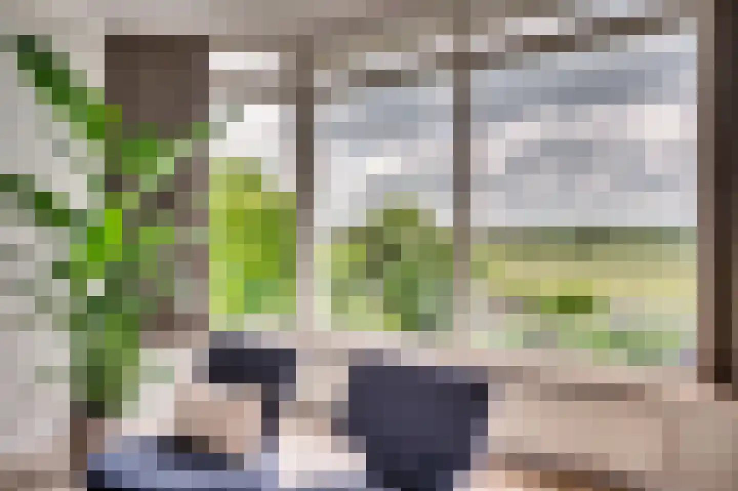 De Soom 17 Grubbenvorst thumbnail 12