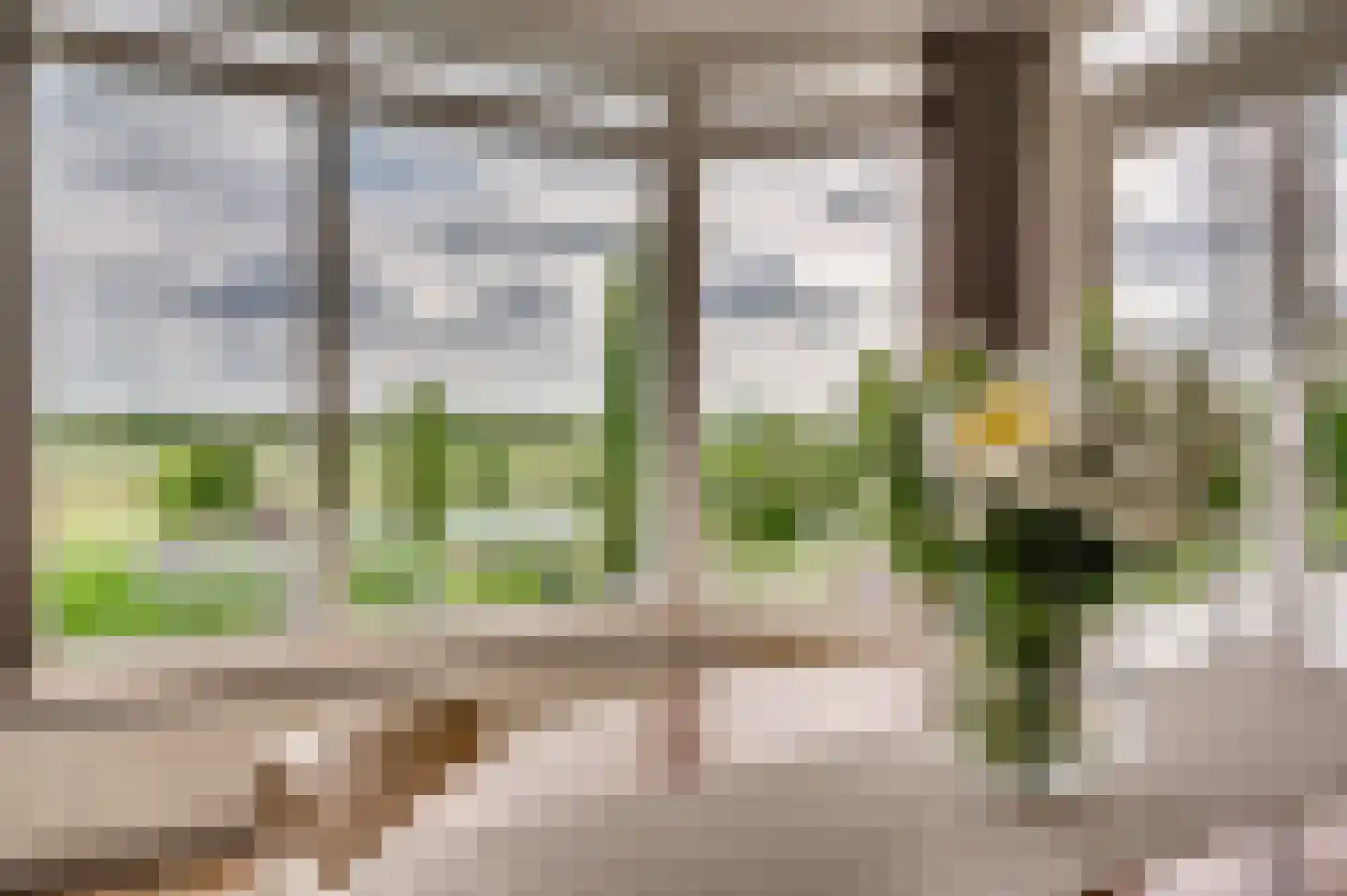 De Soom 17 Grubbenvorst thumbnail 13