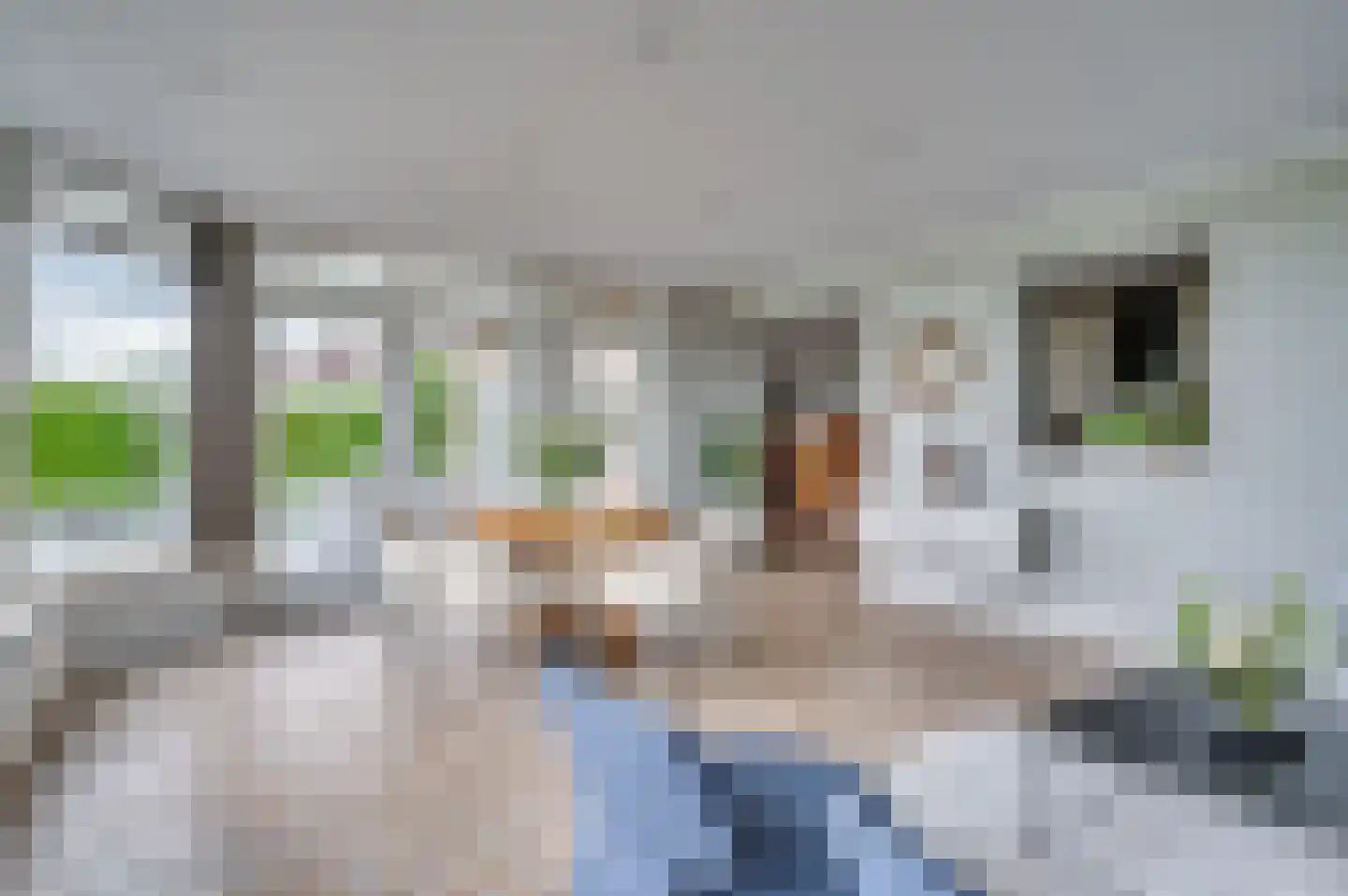 De Soom 17 Grubbenvorst thumbnail 14
