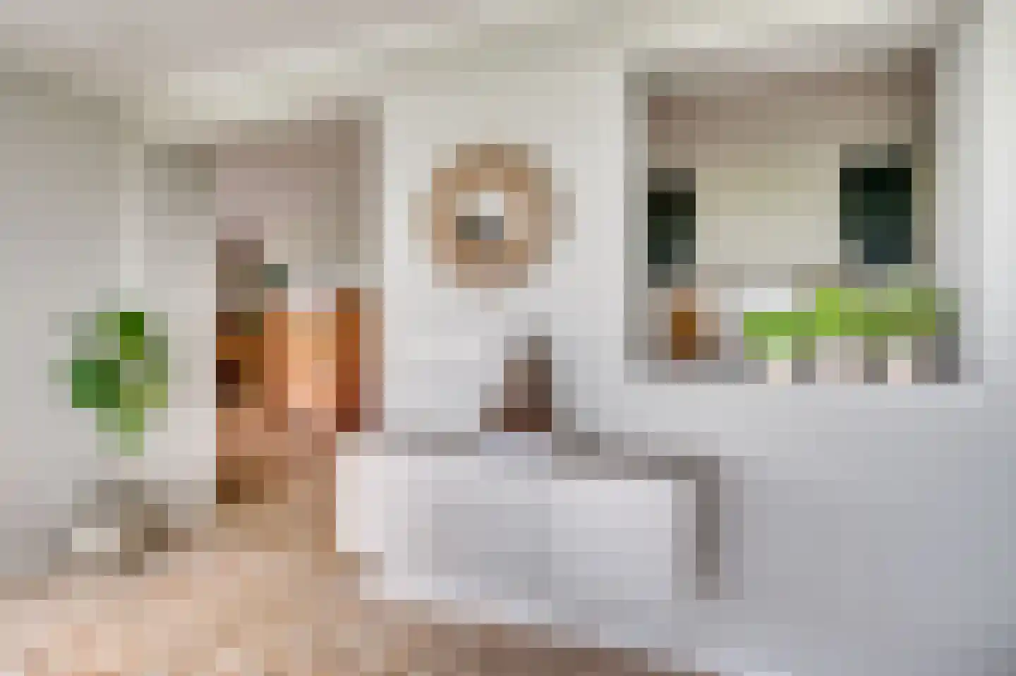 De Soom 17 Grubbenvorst thumbnail 17