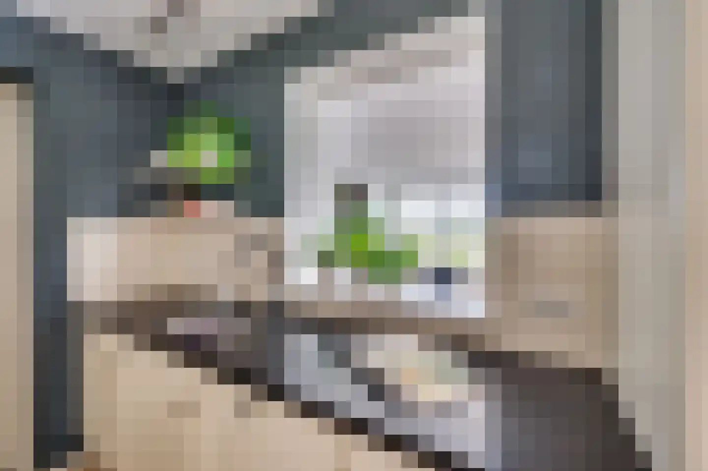 De Soom 17 Grubbenvorst thumbnail 20