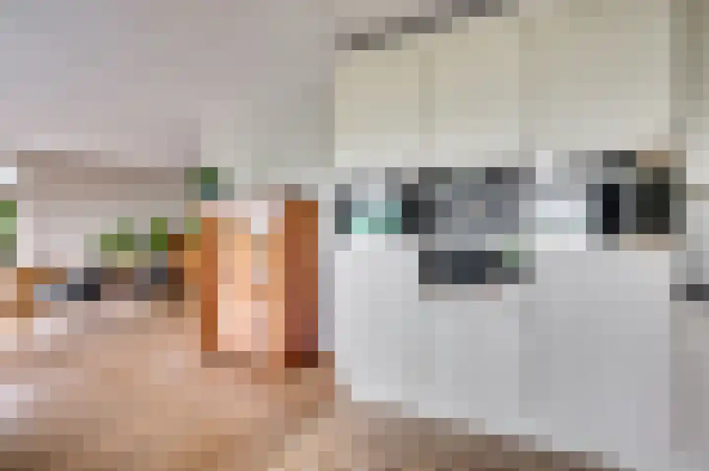 De Soom 17 Grubbenvorst thumbnail 22