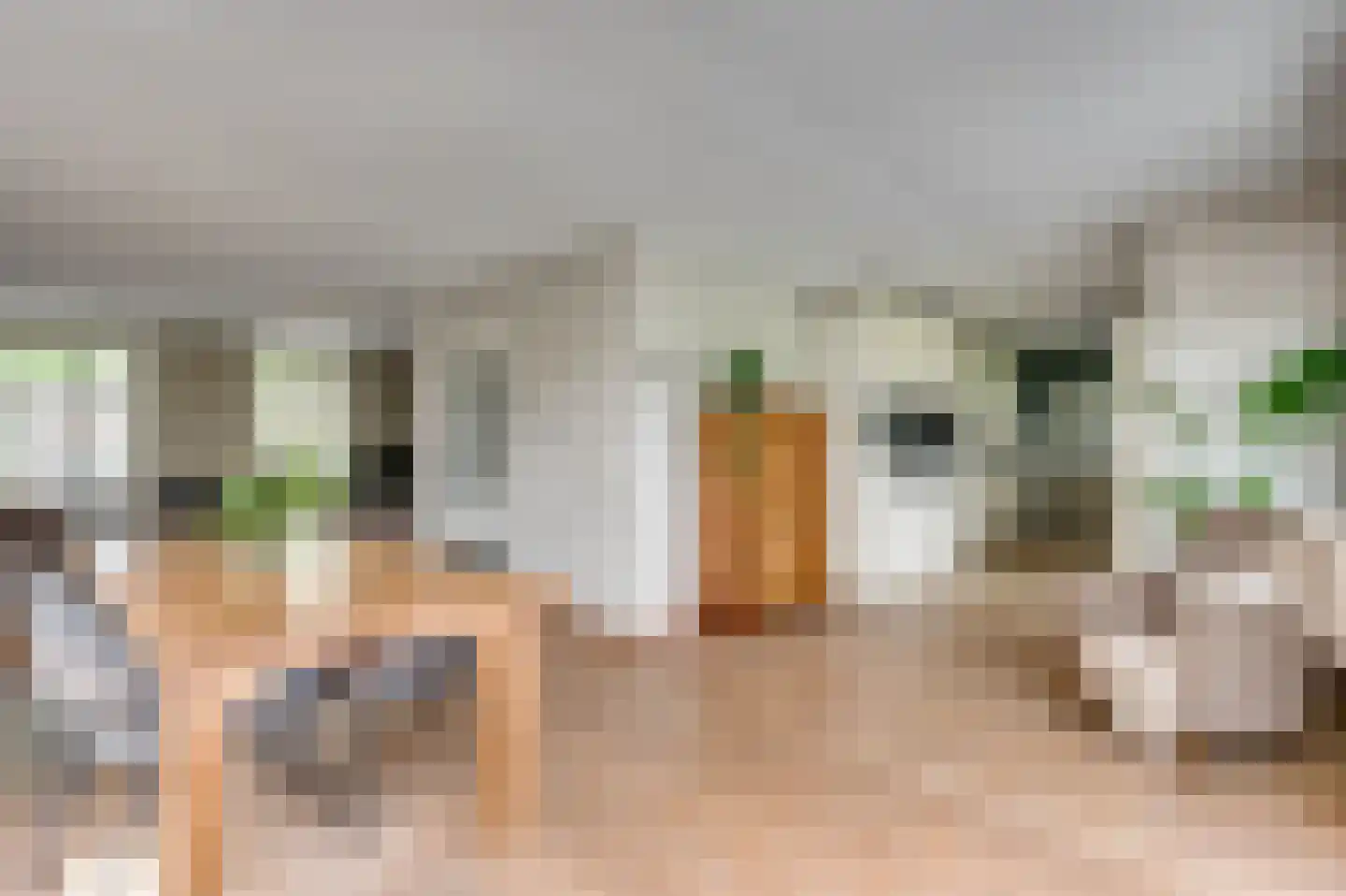 De Soom 17 Grubbenvorst thumbnail 23