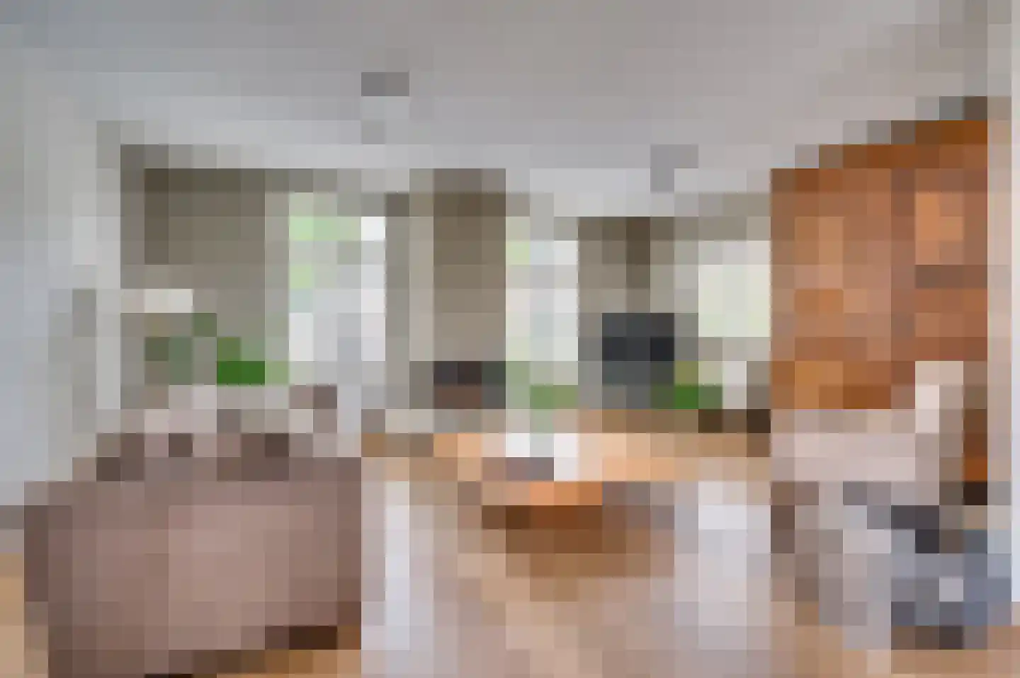 De Soom 17 Grubbenvorst thumbnail 26