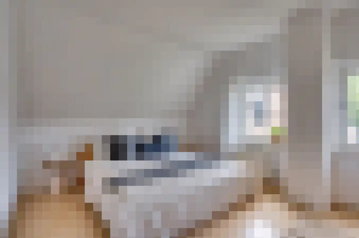 De Soom 17 Grubbenvorst thumbnail 34