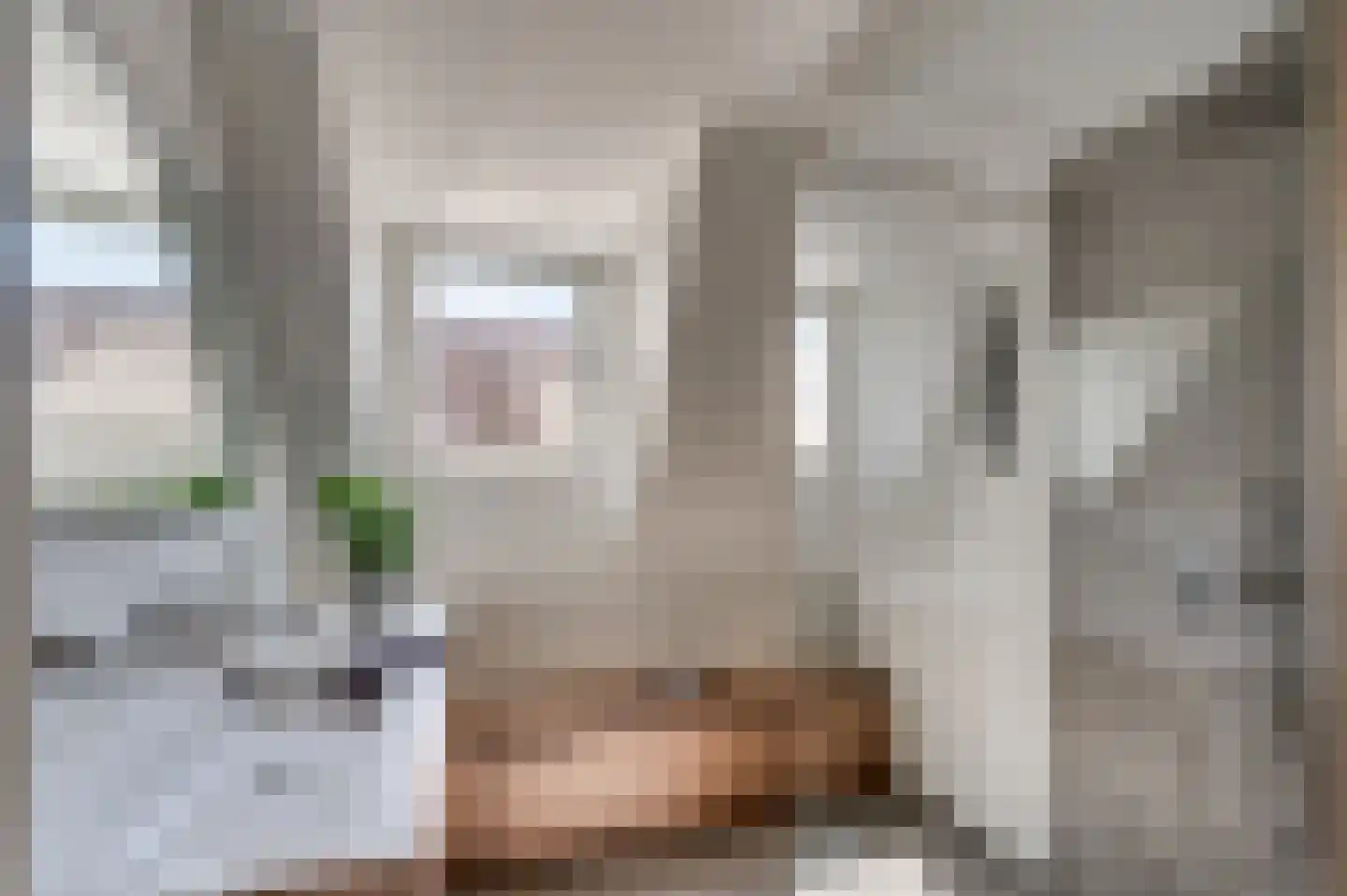 De Soom 17 Grubbenvorst thumbnail 44