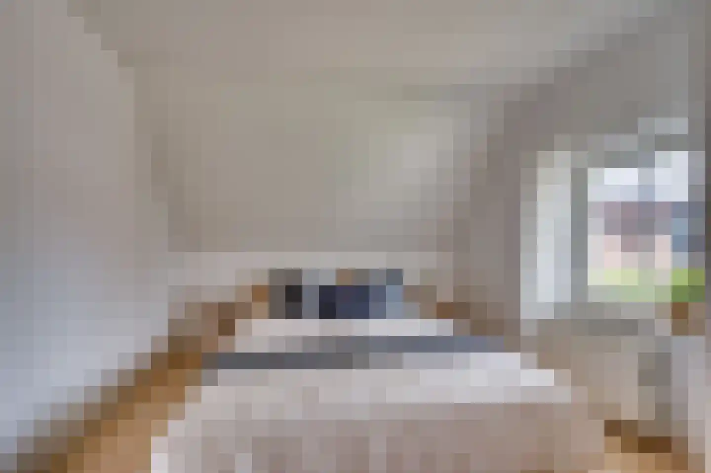 De Soom 17 Grubbenvorst thumbnail 48