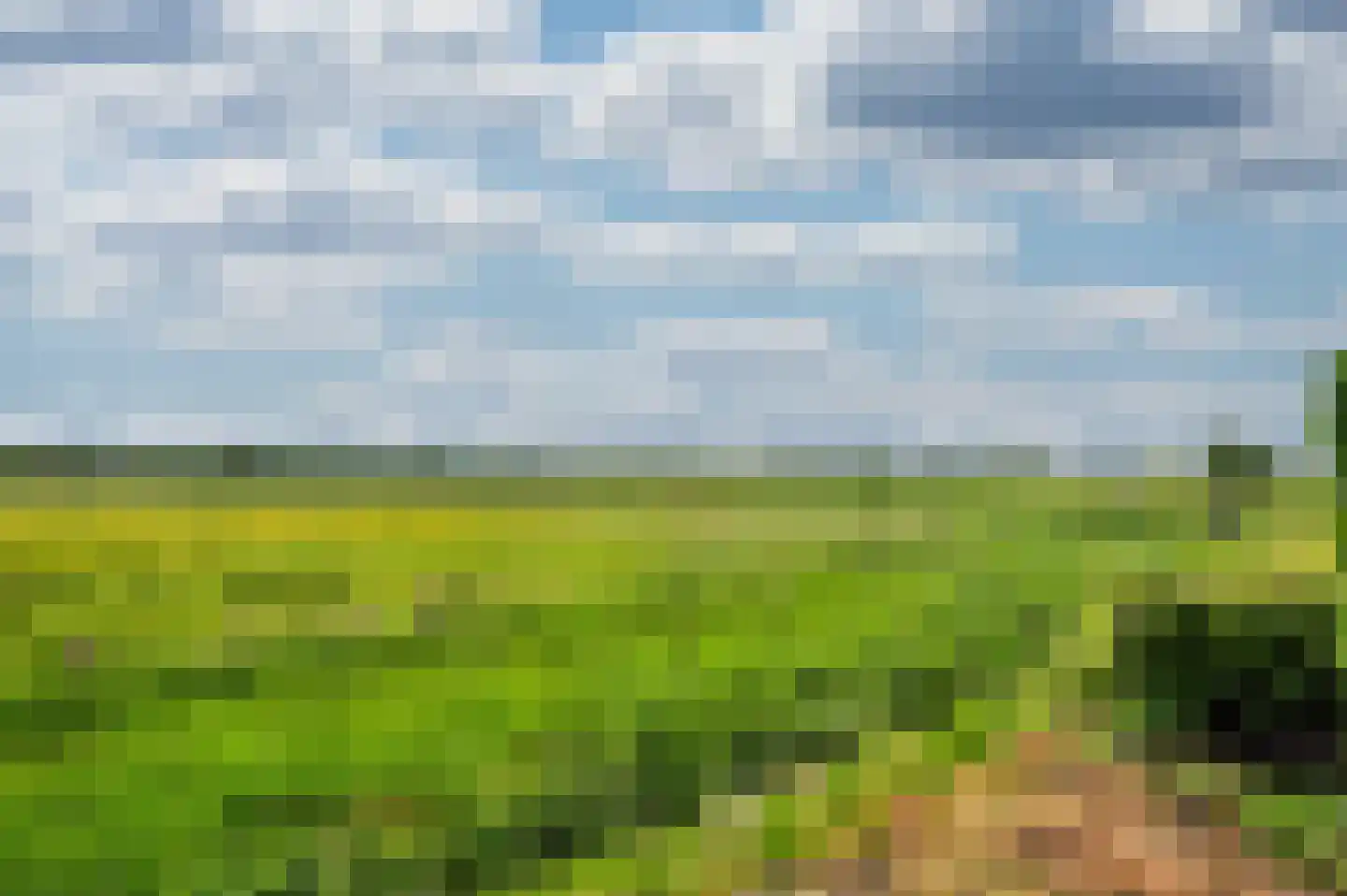 De Soom 17 Grubbenvorst thumbnail 60