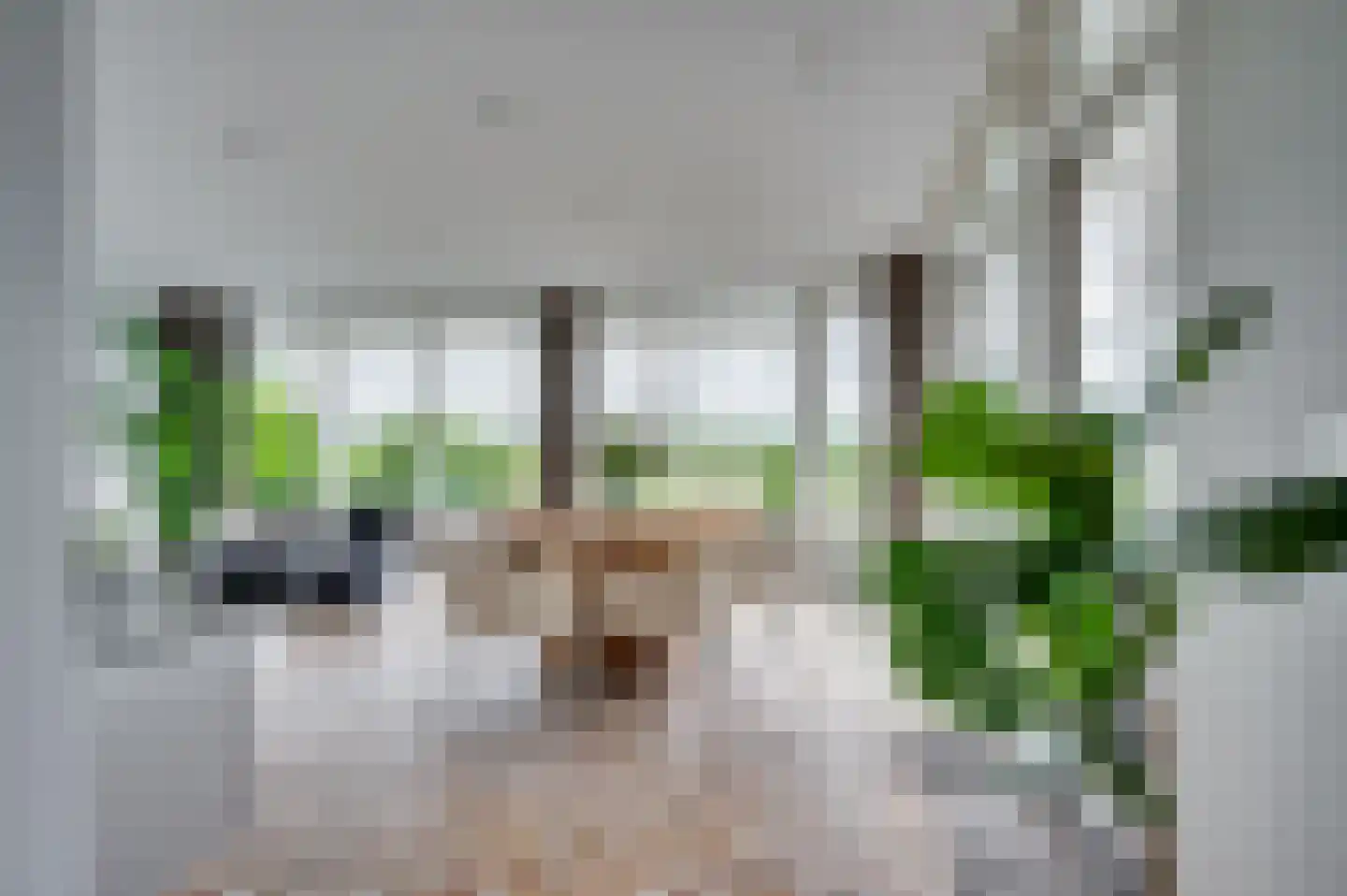 De Soom 17 Grubbenvorst thumbnail 7